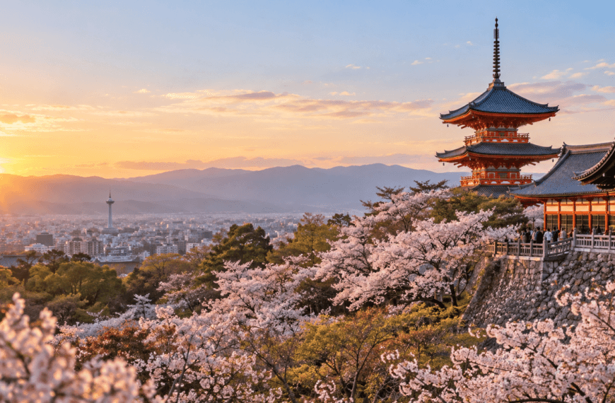 Cherry blossoms frame a historic Kyoto temple overlooking the city and distant mountains in warm sunset light.