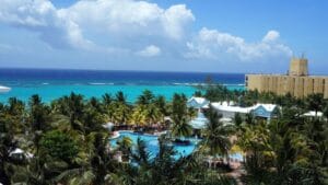 jamaica travel guide green palm trees near body of water during daytime
