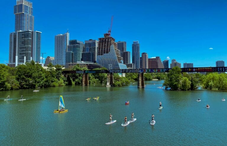 Austin Travel Guide white swan on water near high rise buildings during daytime
