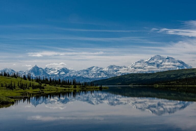 Alaska Travel Guide green trees near lake under blue sky during daytime