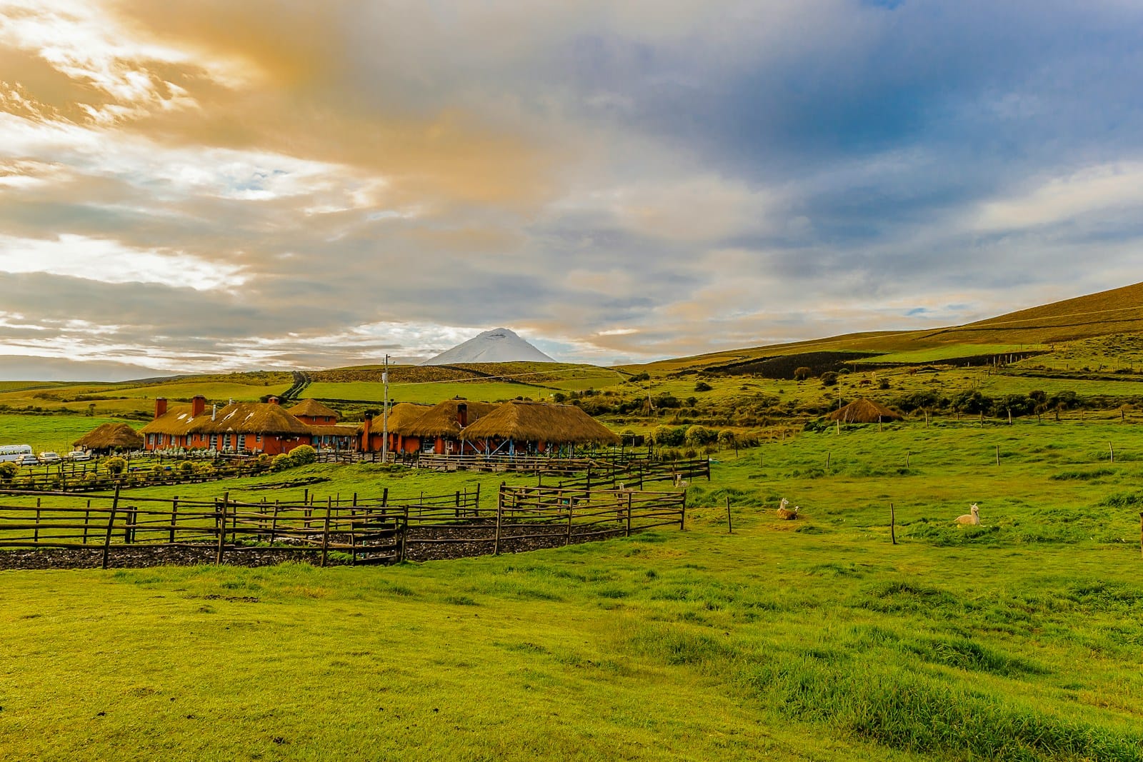 Explore Central & South America brown wooden fence on green grass field under blue sky during daytime