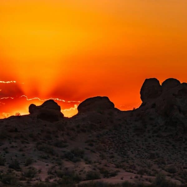 Phoenix Travel Guide for Desert and Cultural Trips