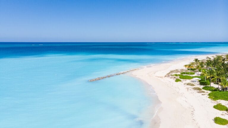 Turks and Caicos Travel Guide an aerial view of a beach with palm trees