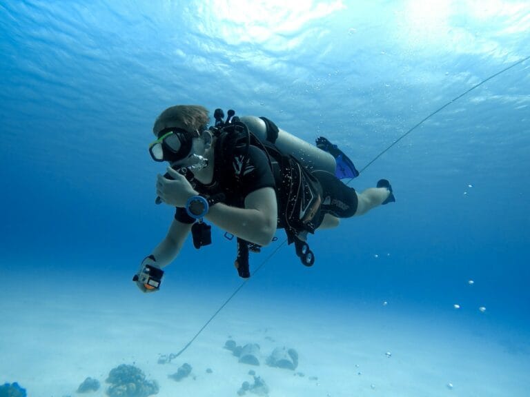 Bonaire Travel Guide person in black and white diving suit under water