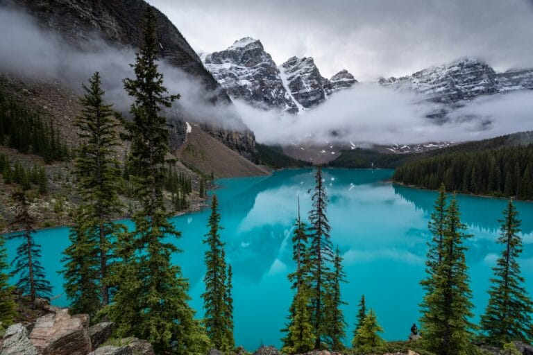 Alberta Tours body of water near tree