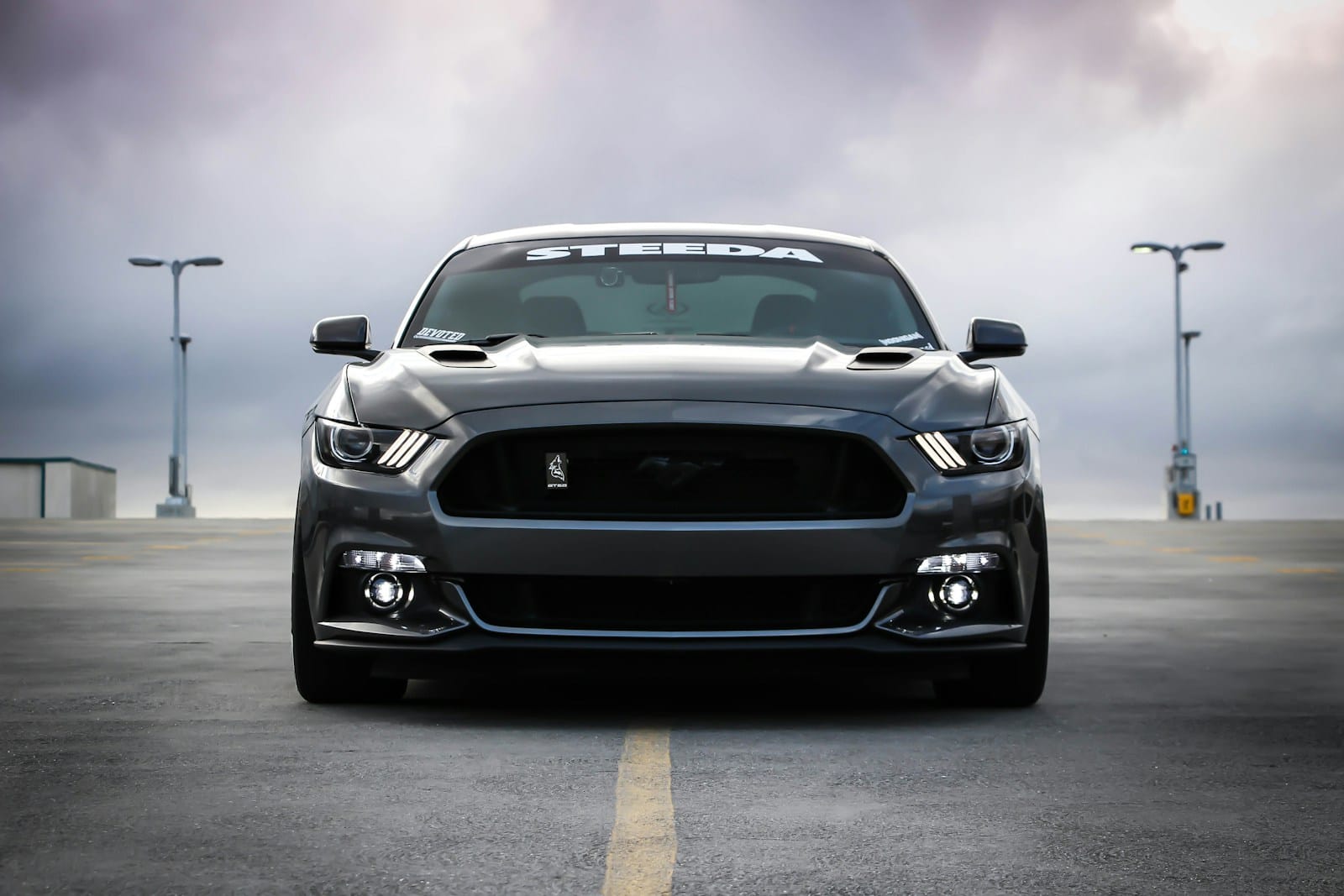 kiwitaxi black Shelby car on road