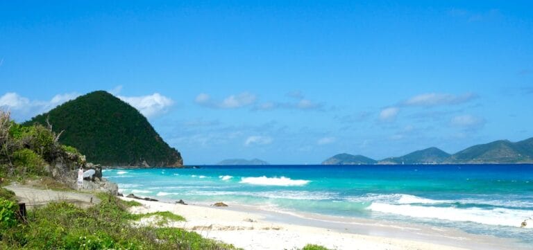 british virgin islands travel guide bvi green trees on seashore during daytime