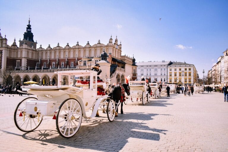 poland travel guide black horses