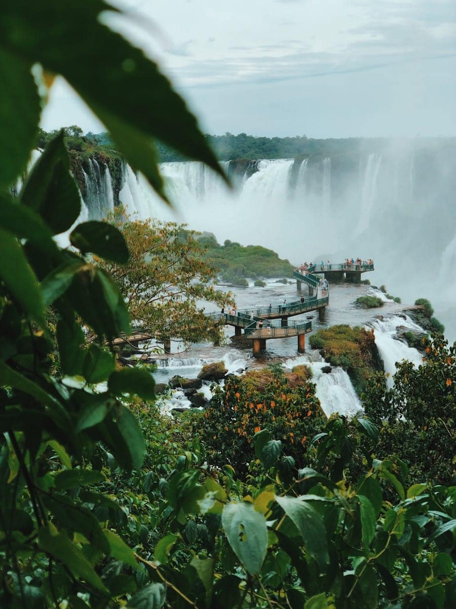 Central & South America TOUR TRAVEL GUIDE green plants near body of water during daytime
