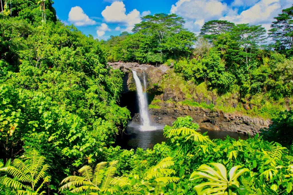 Hawaiian Airlines – Flights, Routes & Travel Comfort Big Island, Hawaii, USA
a waterfall in a forest