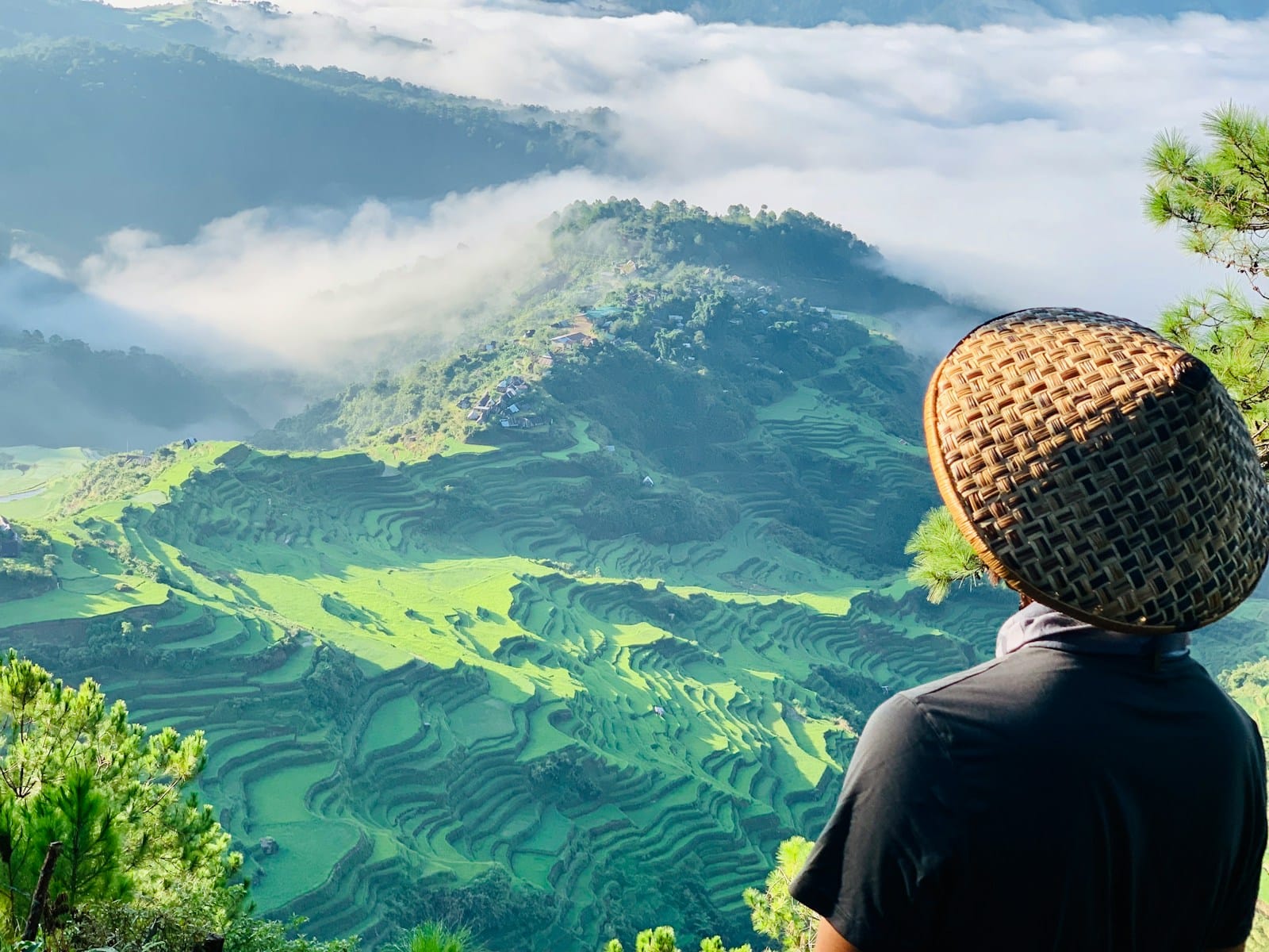philippines travel guide person in black long sleeve shirt and brown hat standing on green grass field during daytime