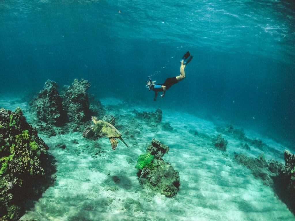 Hawaiian Airlines – Flights, Routes & Travel Comfort Maui, Hawaii, USA
man in blue shorts diving on water