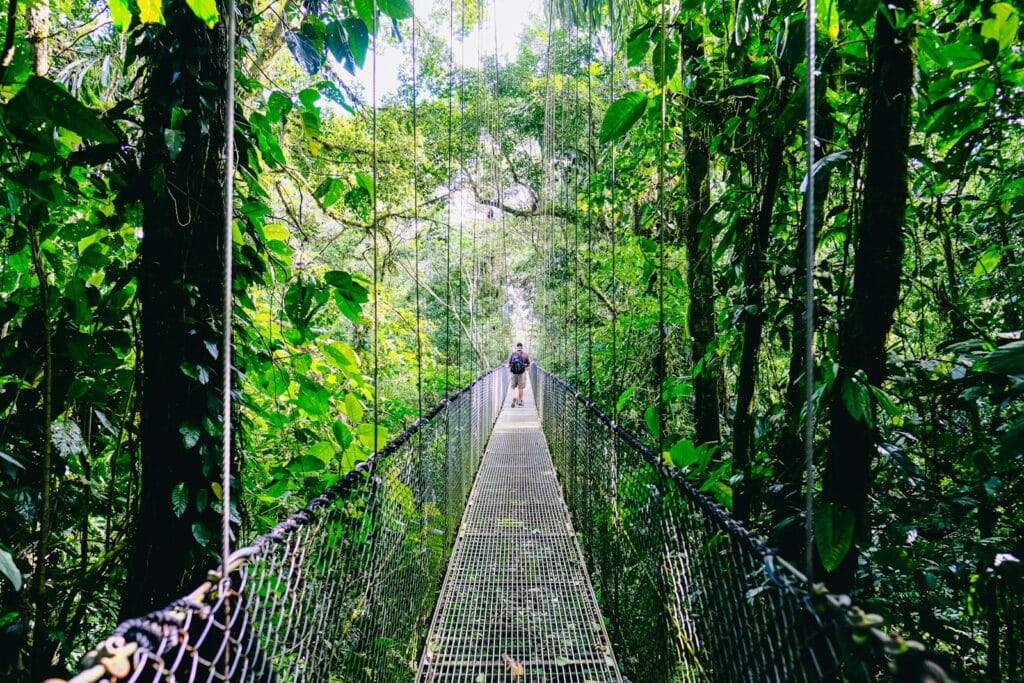 costa rica travel guide person walking on hanging bridge surrounded by green trees during daytime