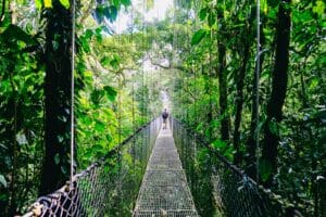costa rica travel guide person walking on hanging bridge surrounded by green trees during daytime