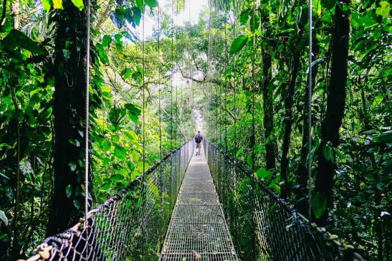 costa rica travel guide person walking on hanging bridge surrounded by green trees during daytime