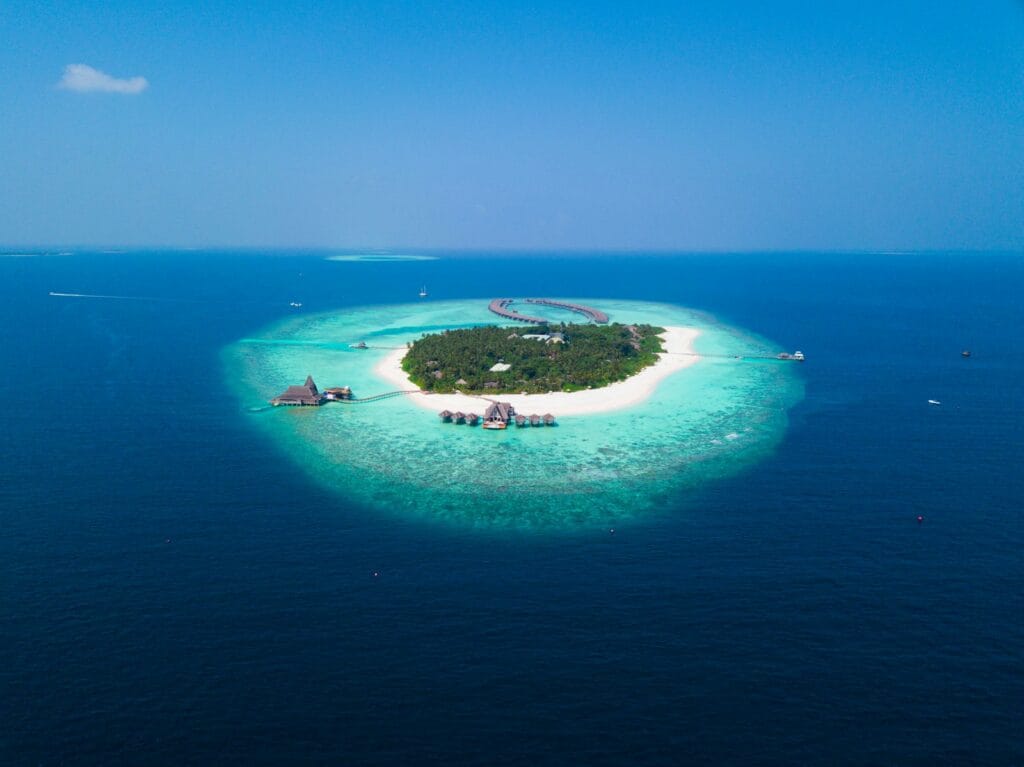 blue paradises island surrounded with water with trees