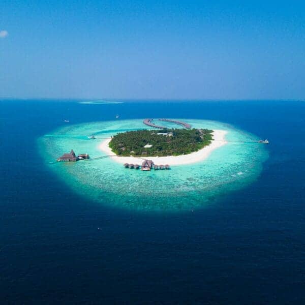 blue paradises island surrounded with water with trees