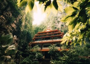 Malaysia Travel Guide brown and white structure between trees