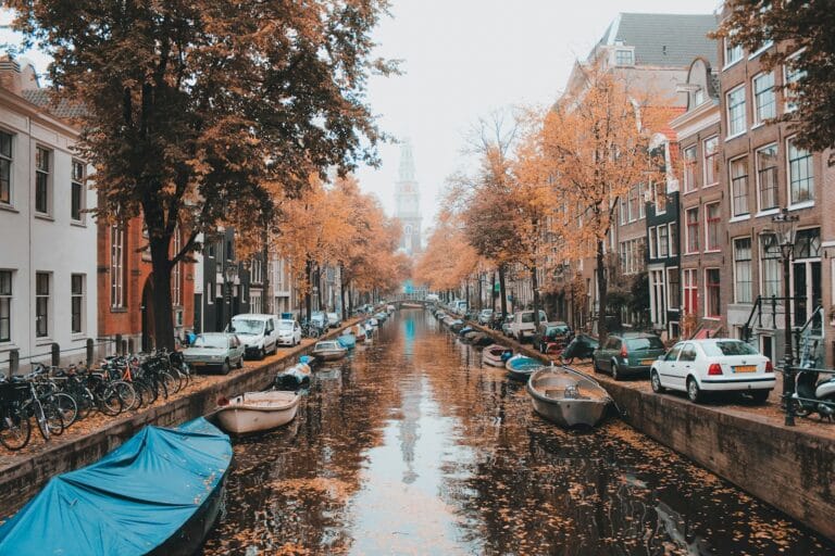 Netherlands Tours boats on river between trees during daytime