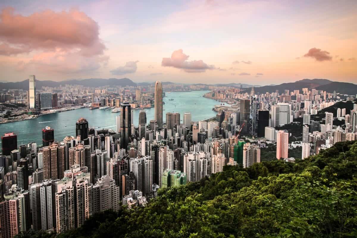Hong Kong Travel Guide aerial photography of city, body of water, and forest