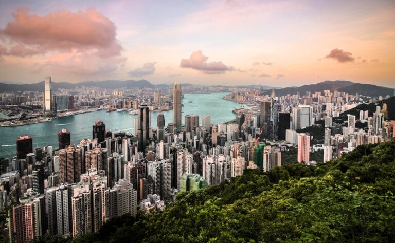 Hong Kong Travel Guide aerial photography of city, body of water, and forest