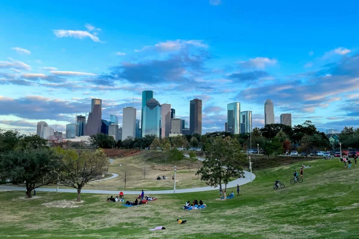 Houston Tours people sitting on green grass field near city buildings during daytime