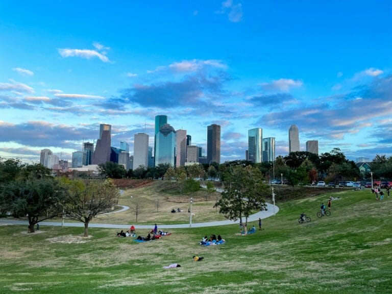 Houston Tours people sitting on green grass field near city buildings during daytime