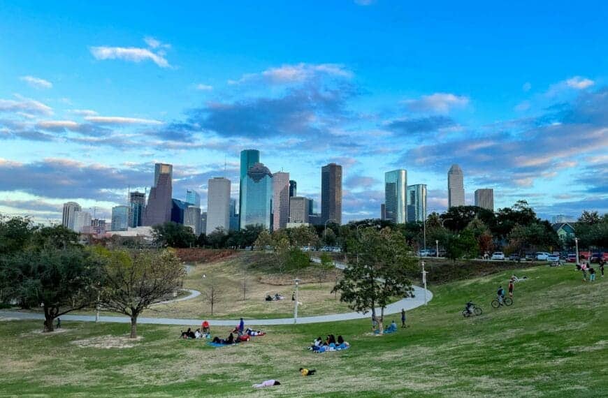 Houston Tours people sitting on green grass field near city buildings during daytime