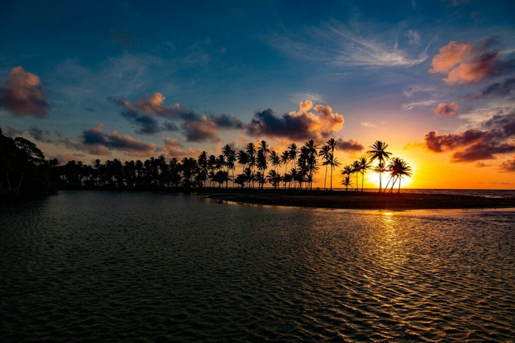 Caribbean Destinations Travel Guide silhouette of trees near body of water during sunset