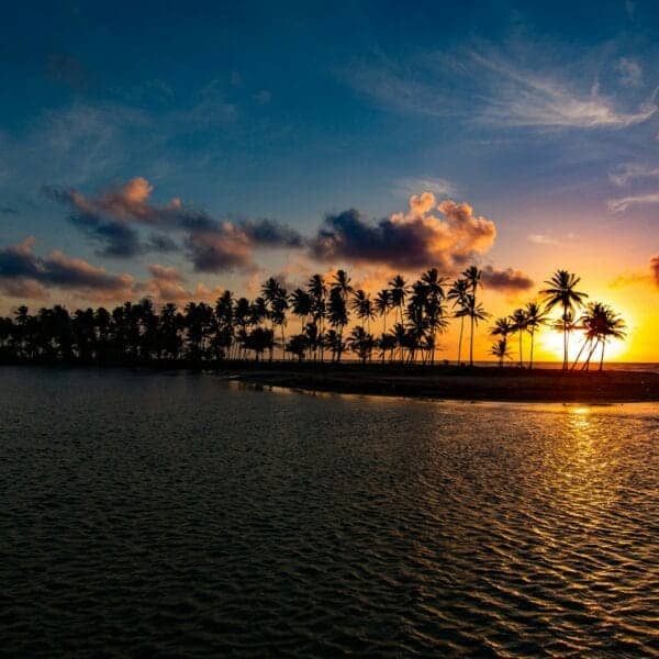 Caribbean Destinations Travel Guide silhouette of trees near body of water during sunset