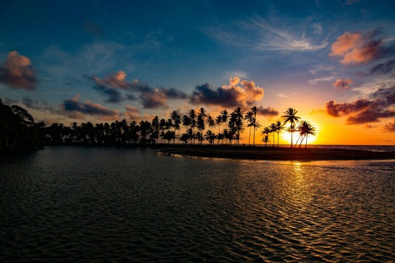 Caribbean Destinations Travel Guide silhouette of trees near body of water during sunset