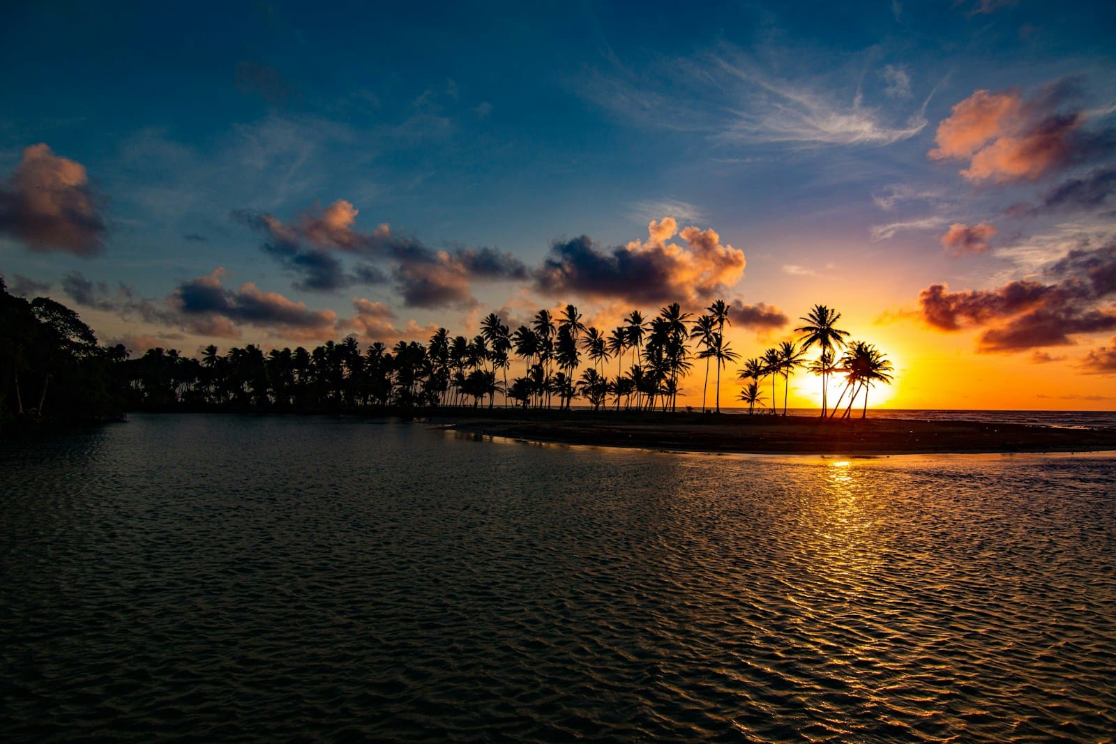 Caribbean Destinations Travel Guide silhouette of trees near body of water during sunset