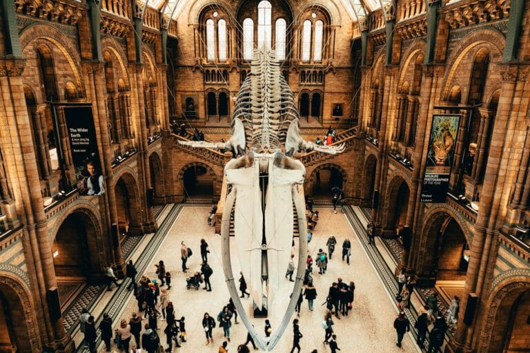 Natural History Museums tours people walking on street in grayscale photography
