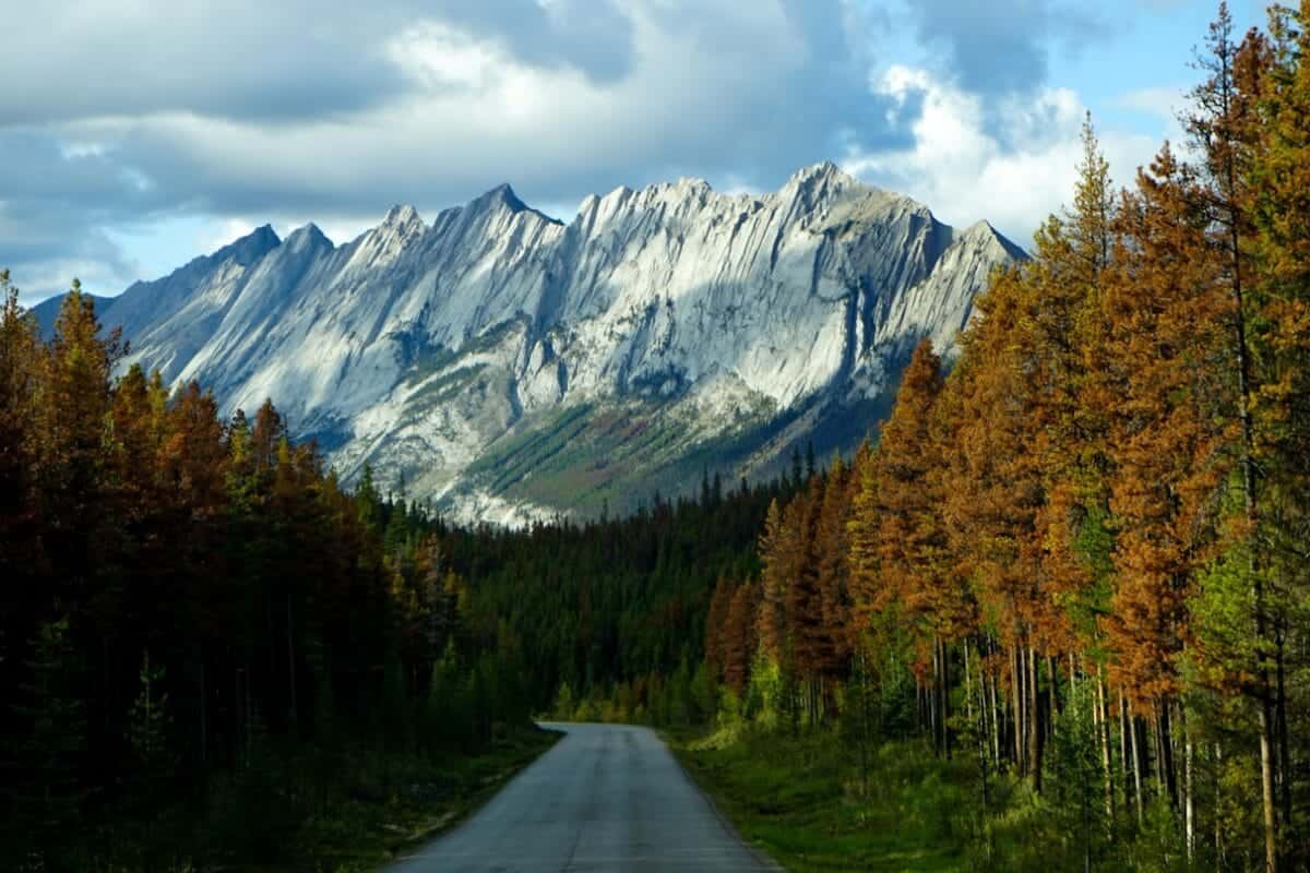 British Columbia Travel Guide gray concrete road between green and brown trees near mountain under white clouds during daytime