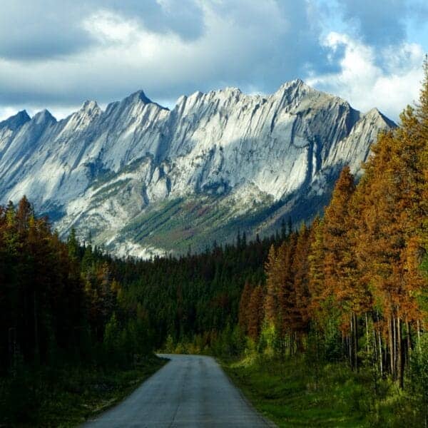 British Columbia Travel Guide: Nature, Culture and Food