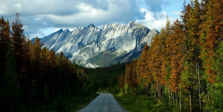 British Columbia Travel Guide gray concrete road between green and brown trees near mountain under white clouds during daytime