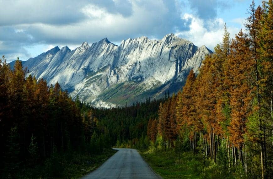 British Columbia Travel Guide gray concrete road between green and brown trees near mountain under white clouds during daytime