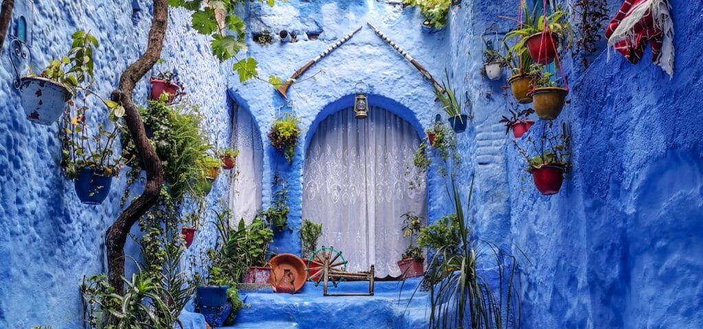 Colorful Destinations a blue alley with potted plants and a bench