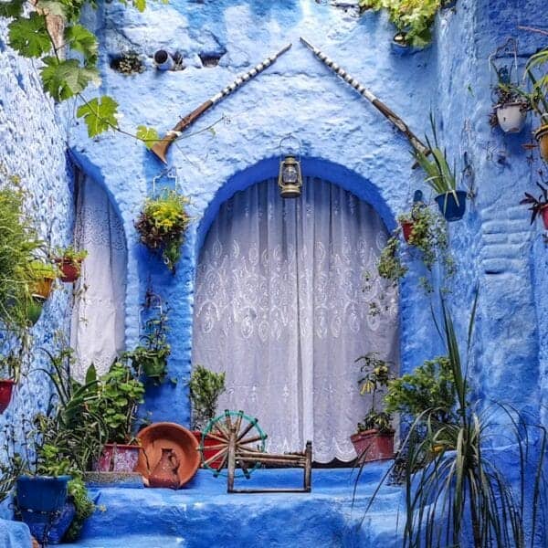 Colorful Destinations a blue alley with potted plants and a bench