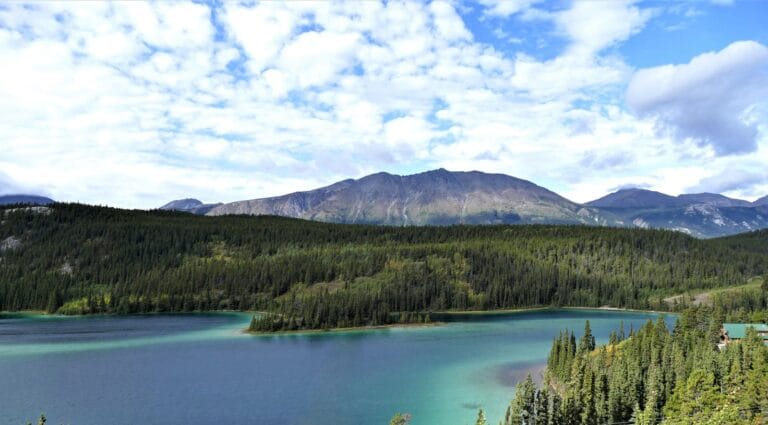 yUKON CANADA green trees near lake under white clouds and blue sky during daytime