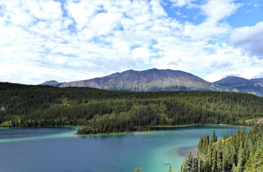 yUKON CANADA green trees near lake under white clouds and blue sky during daytime