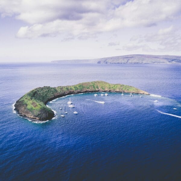 Molokini Crater – Snorkeling, Diving & Boat Tours Maui
