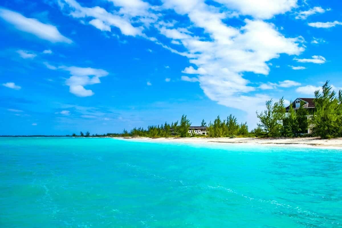 Turks and Caicos Tours green palm trees on beach under blue sky during daytime