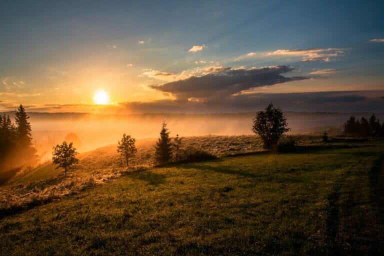 Sunsets Travel Guide trees under cloudy sky during sunset
