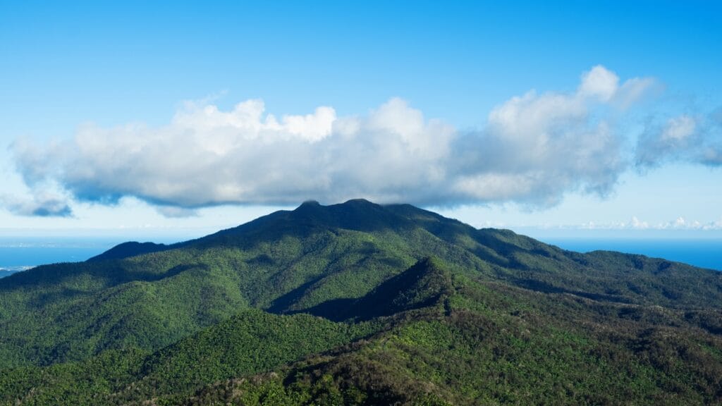 El Yunque National Forest landscape of a mountain