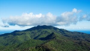 El Yunque National Forest landscape of a mountain
