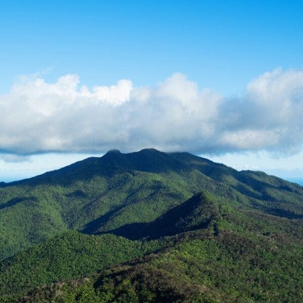 El Yunque National Forest