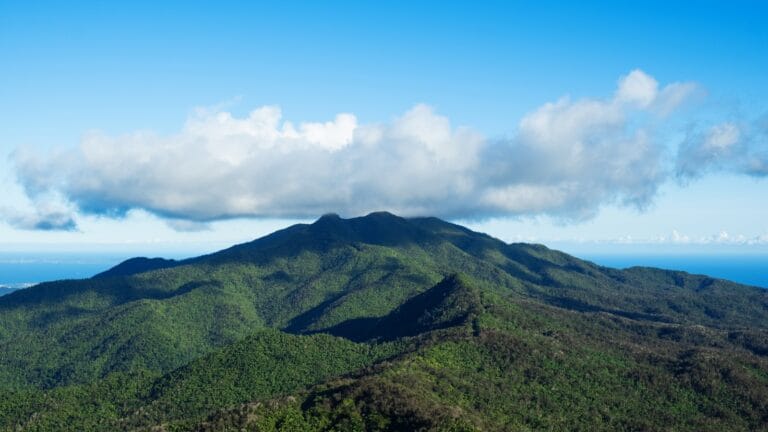 El Yunque National Forest landscape of a mountain