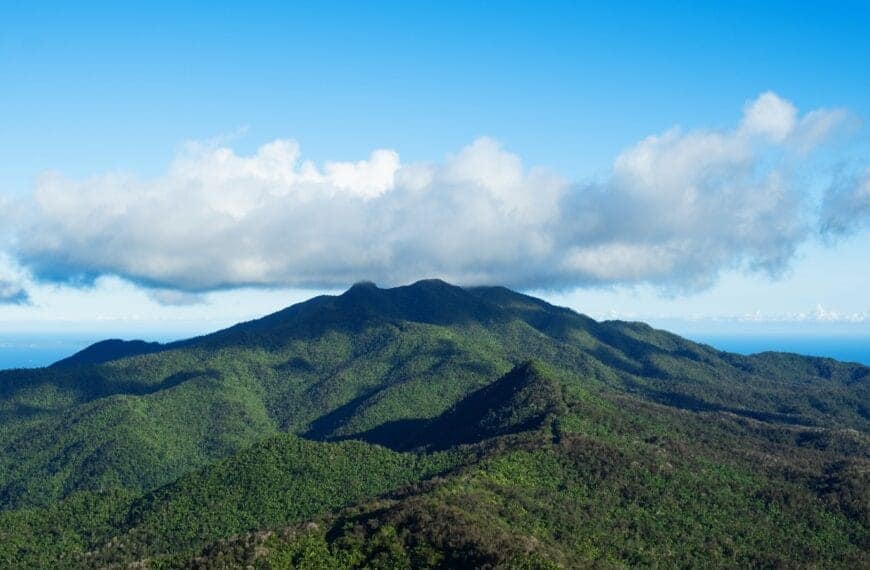 El Yunque National Forest landscape of a mountain