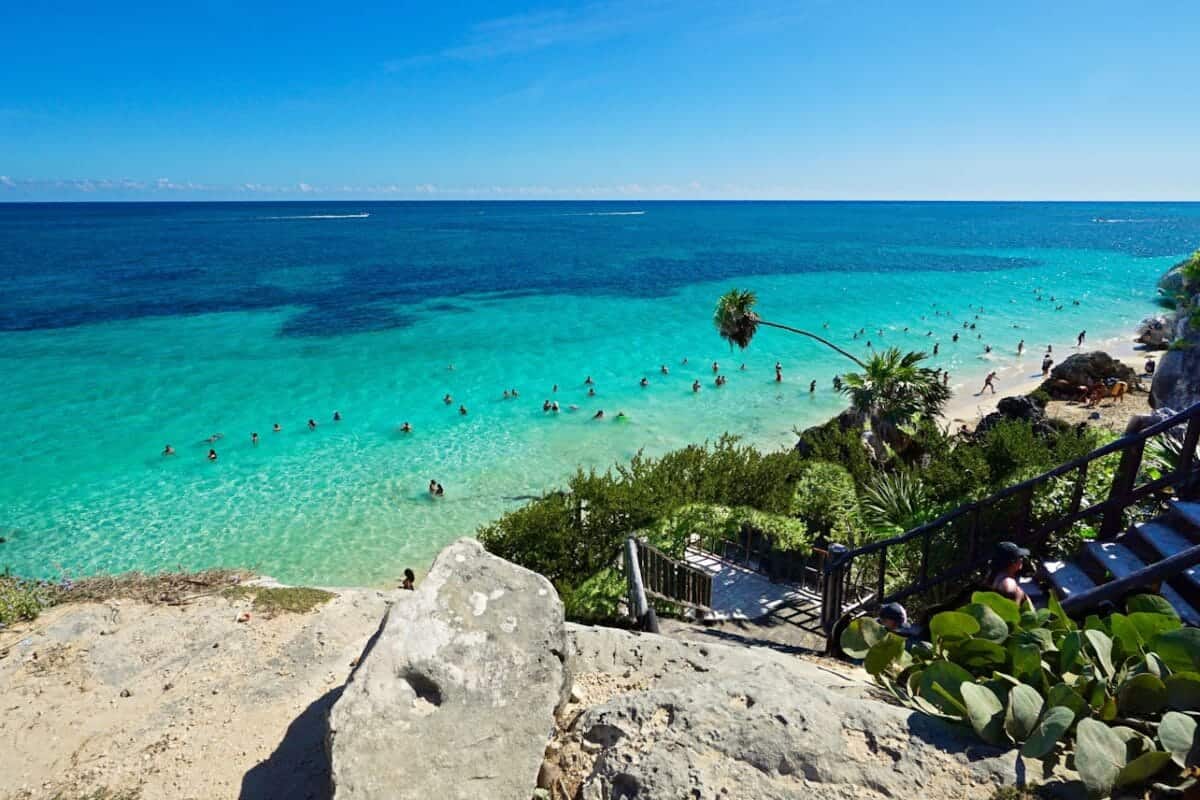 Riviera Maya Tours green palm trees on white sand beach during daytime